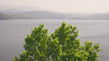 Ağaç gölgesinde geniş bir göl manzarası.