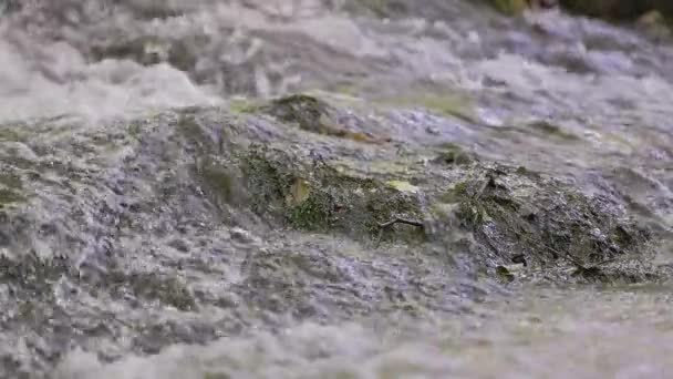 山河缓缓流过岩石 — 图库视频影像