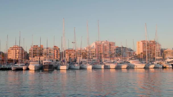 日落时在Torrevieja的游艇码头内帆船和汽艇正在停放 — 图库视频影像