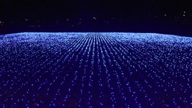 Kış tatilinde parlayan mavi tarla.