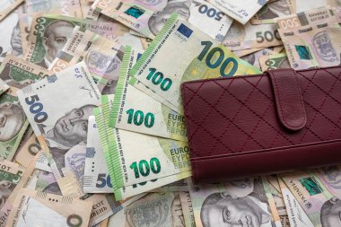 Ukrayna parasına yatırılmış Avro banknotlarıyla dolu deri puse. Hryvnia, takas kavramı. savinge ya da maaş