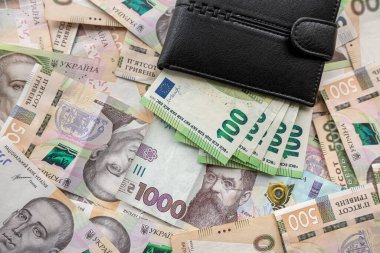 Ukrayna parasına yatırılmış Avro banknotlarıyla dolu deri puse. Hryvnia, takas kavramı. savinge ya da maaş