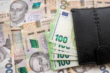 Ukrayna parasına yatırılmış Avro banknotlarıyla dolu deri puse. Hryvnia, takas kavramı. savinge ya da maaş