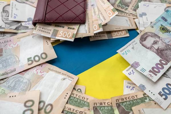 Purse Wallet Hryvnia Background Ukrainian Flag Investment — Stockfoto
