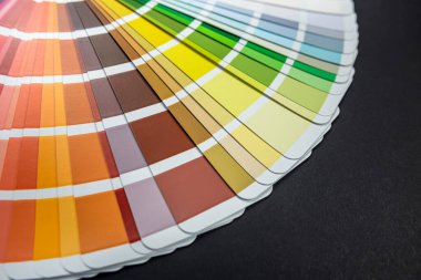 Farklı sepmler renk paletleri ve örnekler izole bir şekilde masaya bırakılmış. Hepsi tasarım için. Palet renkleri. fan