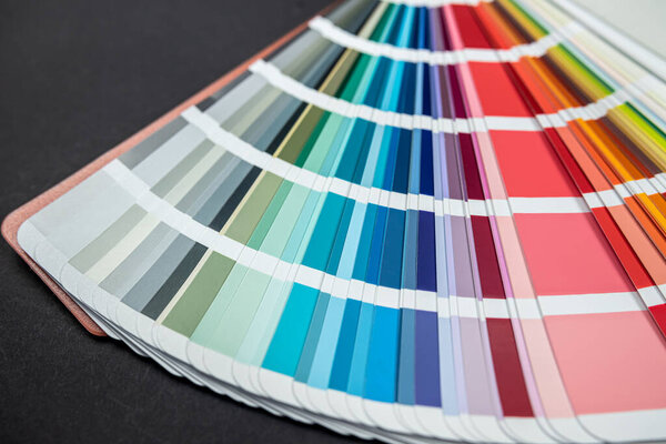 different sepmler color palettes and samples laid out on the table isolated. all for design. palette colors. fan