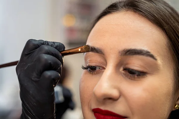 procedure of styling and correction and painting and lamination in a beauty salon by a master. eyebrow care A master of applying paint with a brush. eyebrow coloring