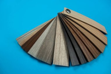 Modern dairelerin tasarımı için renkli ahşap prim numunesi. Sade arka planda izole. ahşap rengi