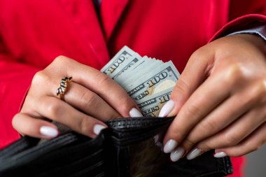 Kırılgan elleri olan genç ve güzel bir kadın çantasından bir sürü dolar alıyor. İş kadını. Bir sürü insan cüzdanında para taşıyor.