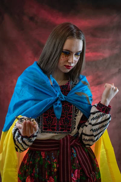 独立のための解放闘争のシンボルとして刺繍民族衣装の動揺ウクライナのかなり若い女性の肖像画 — ストック写真