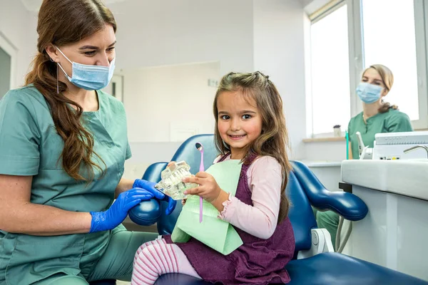 Dentista Bambini Mostra Sulla Mascella Artificiale Come Lavarsi Denti Piccola — Foto Stock