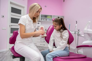 Kadın dişçi bir çocuğa plastik bir çeneyle nasıl diş fırçalayacağını gösterir. Kadın dişçi. çocuk dişçiliği.