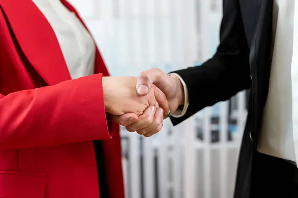 Two business people handshaking after successful partnership in modern office. Successful deal completed