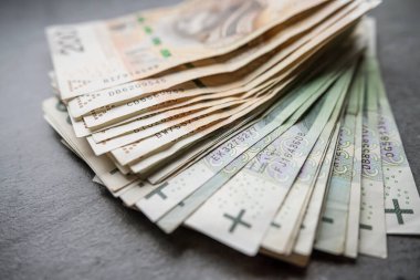 Finansal geçmiş olarak 100 PLN zloti banknot. Polonya para birimi olarak para.