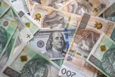 PLN Polonya zlotisi ve Amerikan dolarları için döviz kuru. Banka kredisi iş konsepti