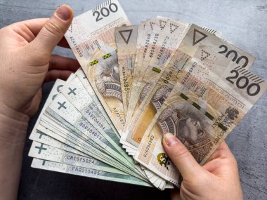 Kadın Polonyalıların parasını tutuyor ve 100 zloti zloti banknot sayıyor, ödeme için maaş alıyor. Mali konsept