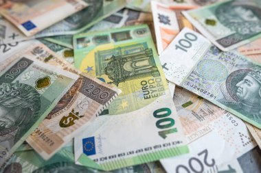 100 avro banknot ve 100 PLN Polonya zloti finans geçmişi. Döviz kuru kavramı  