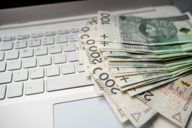 Laptop bilgisayarında 100 Polonyalı PLN nakit, ya para kazan ya da internetten al. Mali konsept