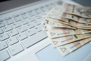 Laptop bilgisayarında 100 Polonyalı PLN nakit, ya para kazan ya da internetten al. Mali konsept