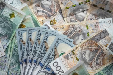 PLN Polonya zlotisi ve Amerikan dolarları için döviz kuru. Banka kredisi iş konsepti