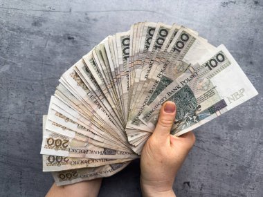 100 tane cilalayan para bir kadının elinde. Fatura say konsepti. Zloty