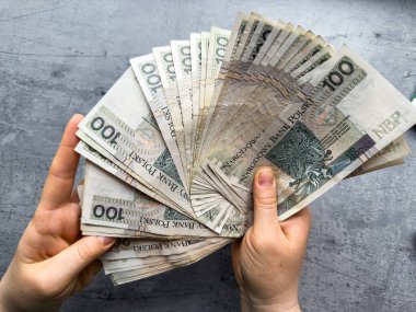 100 tane cilalayan para bir kadının elinde. Fatura say konsepti. Zloty