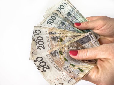 Polonyalı zloty zloti kağıt faturalarını beyaza izole edilmiş kadın ellerine yapıştırıyor. Mali konsept