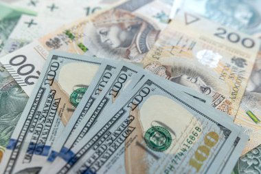 200 zloti, 100 dolarla paralar. Finansal konsept değişimi