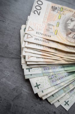 PLN 100 yığını ve 200 zloti banknot finansman fonu. Tasarruf kavramı, Polonya para birimi