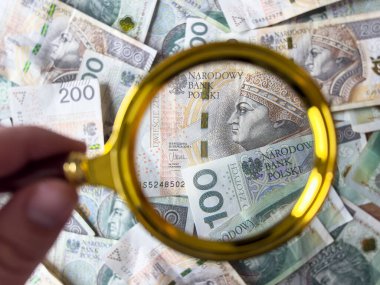 Cilalı zloti para kalıbının altında büyüteç tutan kadın eli. Mali konsept