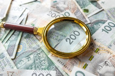 100 Polonyalı zloti faturası ve büyüteç finansal yatırım konsepti