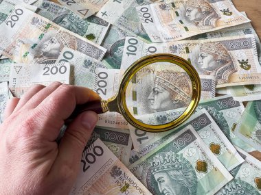 Cilalı zloti para kalıbının altında büyüteç tutan kadın eli. Mali konsept