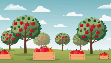 Enfes bir pikselde canlı yeşil elma ağaçları ve büyüleyici bir meyve bahçesinde sulu, olgun elmalarla dolu birkaç sandık sergileniyor.