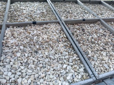 Dekoratif gri kayalar veya çakıl yapı malzemesi bahçe tasarımı için kaya, mükemmel doku veya arkaplan