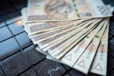 Karanlık arka plan, finansal konsept yatırımı üzerine 100 Polonya Zloti PLN Banknotuna yakın plan