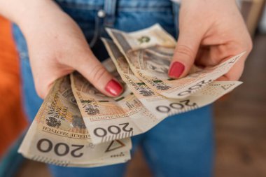 Kadın, Polonya zloti parasını sayar, tasarruf veya zengin konsepti. Finans teması