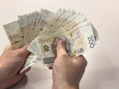 Yakından bakınca, beyaz arka planda 200 'e yakın para bankası var. Mali konsept