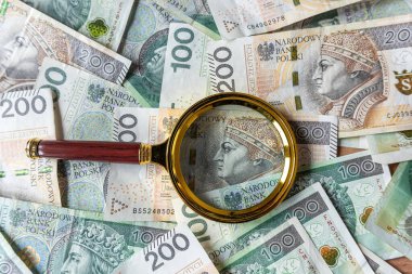 100 Polonyalı zloti faturası ve büyüteç finansal yatırım konsepti