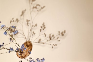 Kurumuş çiçekler ve gölgeler. Turuncu şeffaf vazoda mavi kurumuş çiçekler. Vazo ve kurumuş çiçekler güzel bir gölge bırakıyor. Kağıt dokusu arkaplanı, kopyalama alanı.