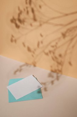 Zarflı ve boş kartlı bir model. Bej arka planda bir turkuaz zarf. Arka plandaki bitkilerin gölgesi. Minimalizm, boşluğu kopyala.