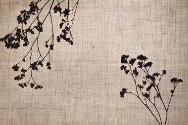 Soyut nötr arkaplan. Pamuk kumaşın arkasındaki kuru bitkilerden bir siluet. Bej arkaplanda dalların gölgeleri, kopyalama alanı. 