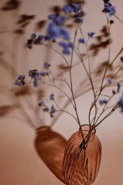 Dried flowers and shadows. Blue dried flowers in an orange transparent vase. The vase and dried flowers cast a beautiful shadow. Paper texture background.
