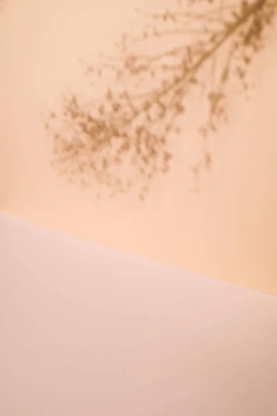 stock image Abstract background with copy space. Shadow from a branch of a fluffy plant on a beige background.