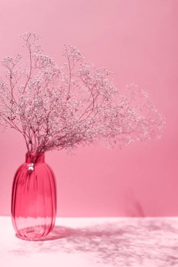 Branches of a dry fragile plant in a glass vase. Magenta background with copy space, light and shadow. Image toned in color of the year 2023 Viva magenta.