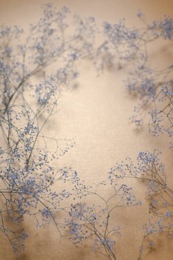 Yumuşak doğal bitki arkaplanı. Sarı bir arka planda, bebek nefesli çiçeklerin dalları. Sığ alan derinliği, hassasiyet, yumuşaklık, kopyalama alanı.