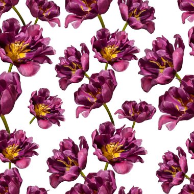 Lalelerle kusursuz desen. Bahar arkaplanı, çiçek deseni, tasarım elementi.