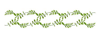 Akasya yapraklarının bileşimi. Genç yeşil akasya yaprakları çiçek dallı bir çelenk içinde. Kartpostallar, düğün kartları ve davetiyeler için tasarım ögesi.