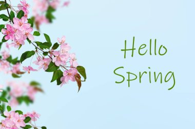 Akasya yapraklarının bileşimi. Genç yeşil akasya yaprakları çiçek dallı bir çelenk içinde. Kartpostallar, düğün kartları ve davetiyeler için tasarım ögesi.