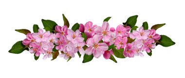 Akasya yapraklarının bileşimi. Genç yeşil akasya yaprakları çiçek dallı bir çelenk içinde. Kartpostallar, düğün kartları ve davetiyeler için tasarım ögesi.