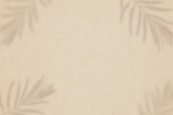 Soyut nötr arkaplan. Deniz dikenli yaprakların gölgeleri bej desenli kağıt üzerinde, boşluğu kopyala. 